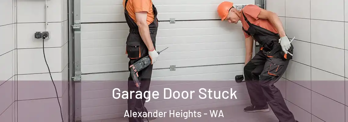 Garage Door Stuck Alexander Heights - WA