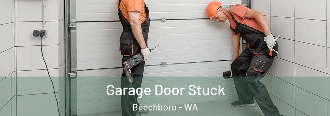  Garage Door Stuck Beechboro - WA