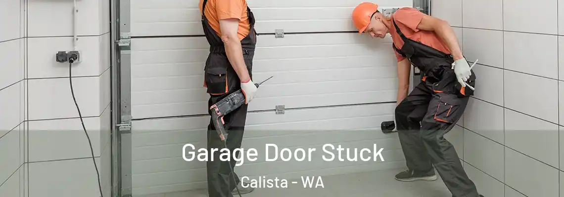 Garage Door Stuck Calista - WA