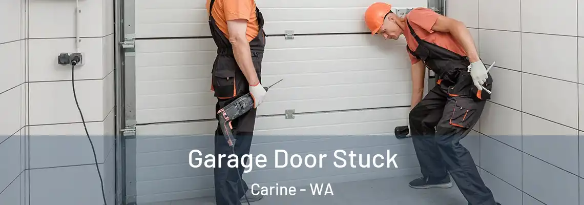 Garage Door Stuck Carine - WA