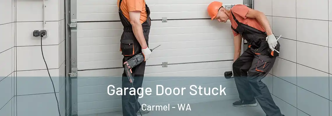 Garage Door Stuck Carmel - WA