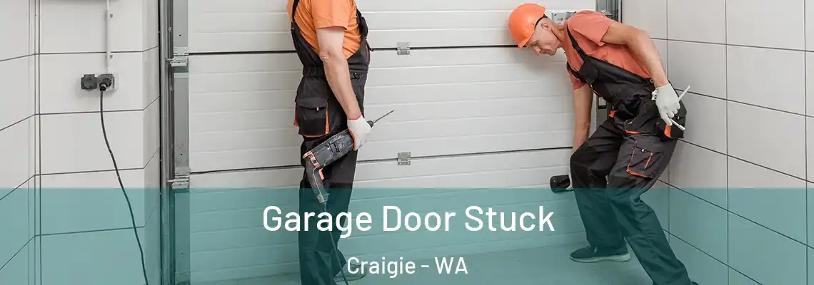  Garage Door Stuck Craigie - WA