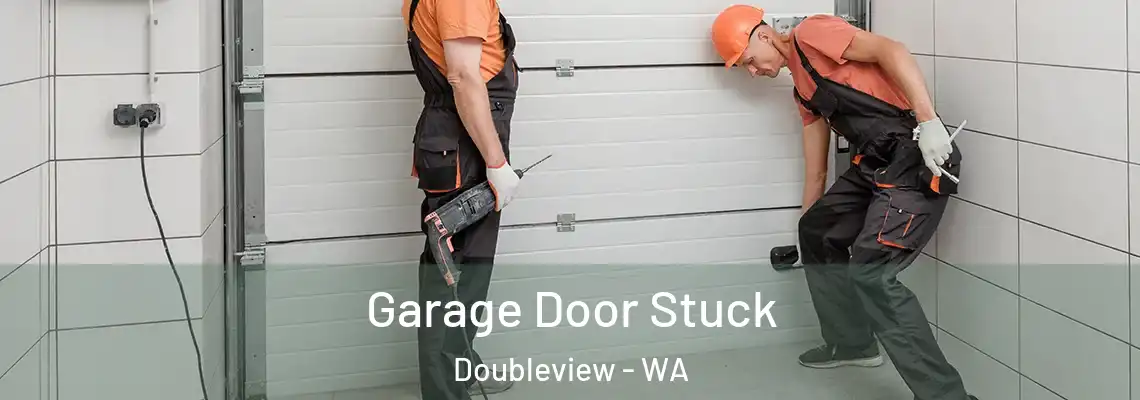  Garage Door Stuck Doubleview - WA