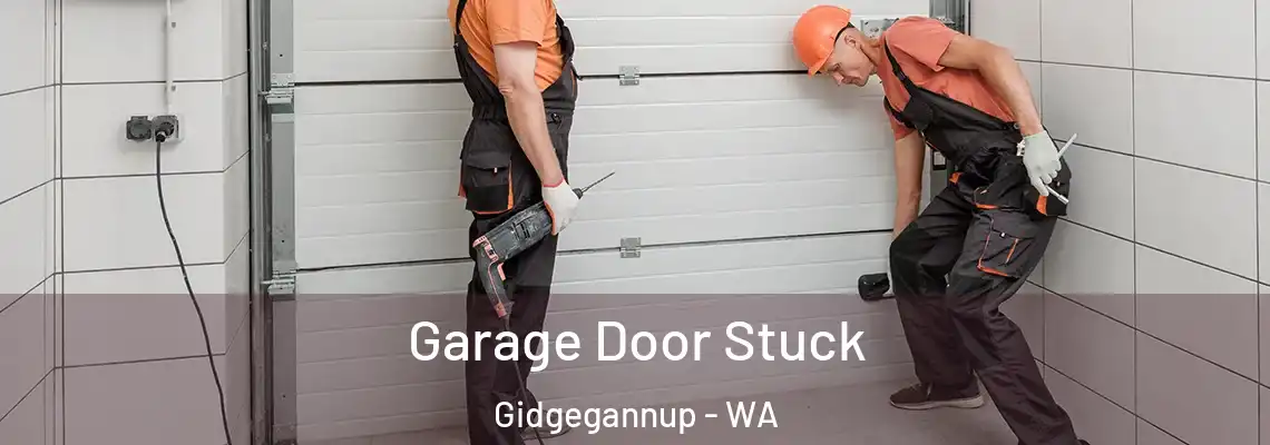 Garage Door Stuck Gidgegannup - WA