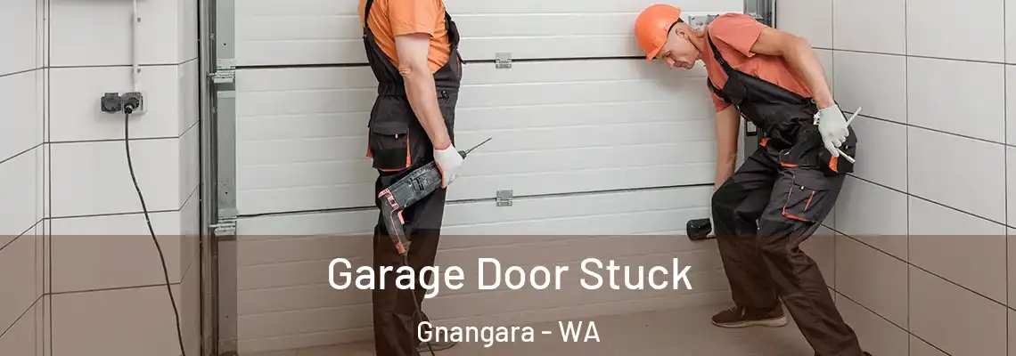  Garage Door Stuck Gnangara - WA