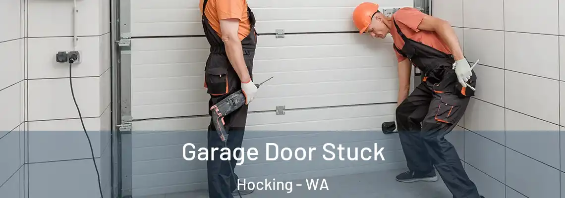 Garage Door Stuck Hocking - WA