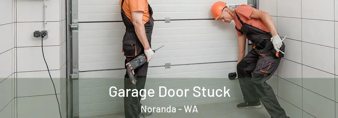  Garage Door Stuck Noranda - WA