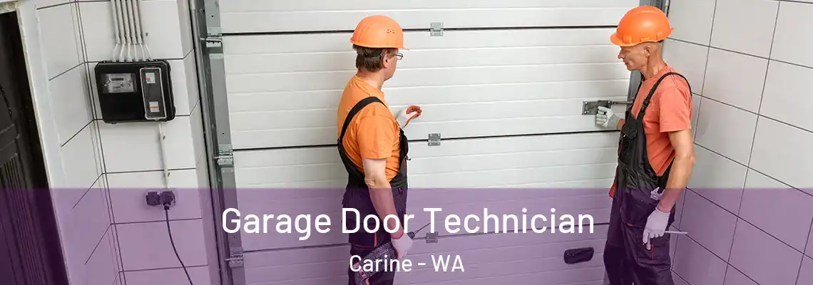 Garage Door Technician Carine - WA