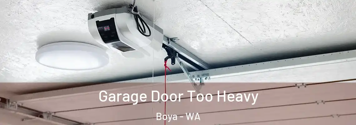 Garage Door Too Heavy Boya - WA