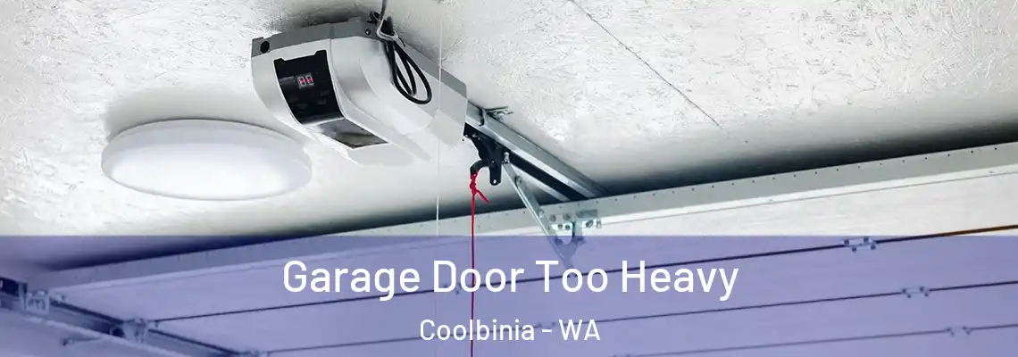 Garage Door Too Heavy Coolbinia - WA