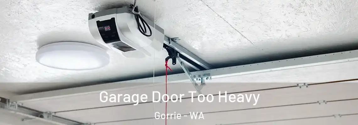 Garage Door Too Heavy Gorrie - WA
