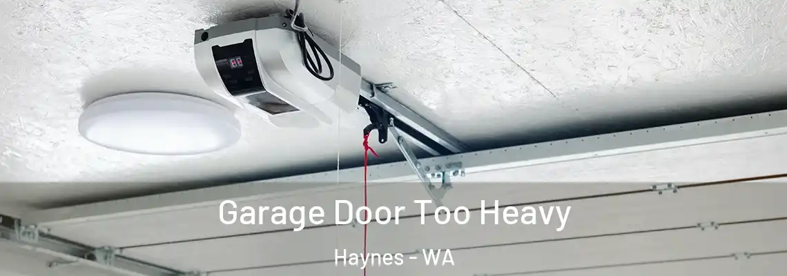  Garage Door Too Heavy Haynes - WA