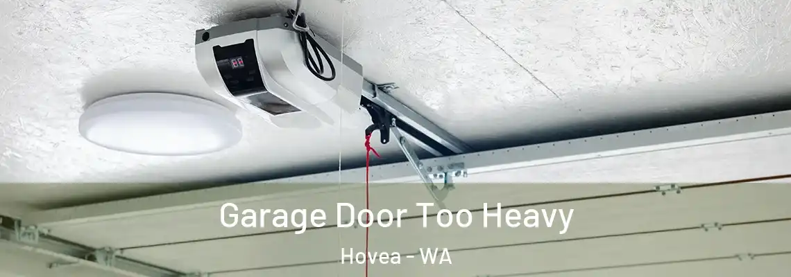 Garage Door Too Heavy Hovea - WA