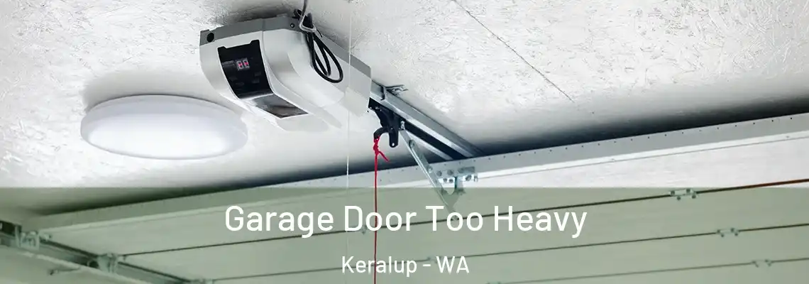  Garage Door Too Heavy Keralup - WA