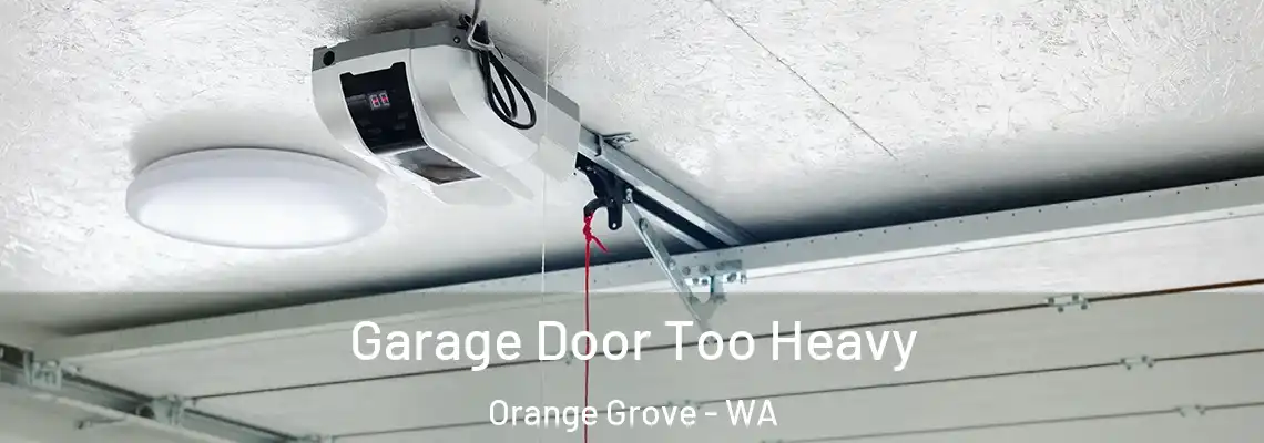 Garage Door Too Heavy Orange Grove - WA