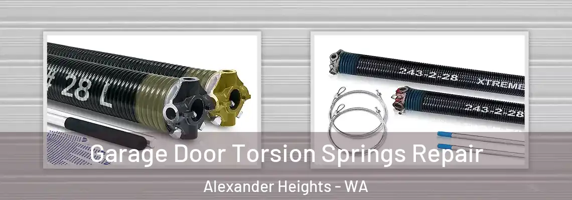 Garage Door Torsion Springs Repair Alexander Heights - WA