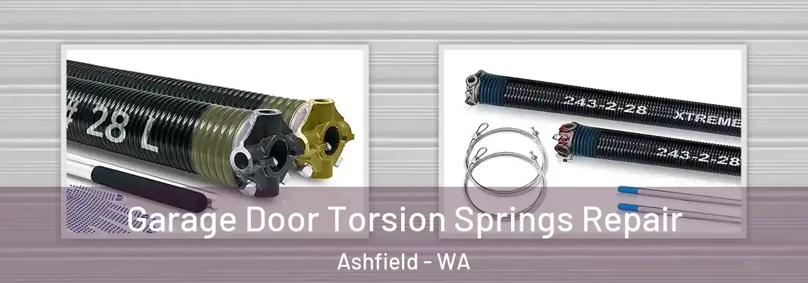 Garage Door Torsion Springs Repair Ashfield - WA