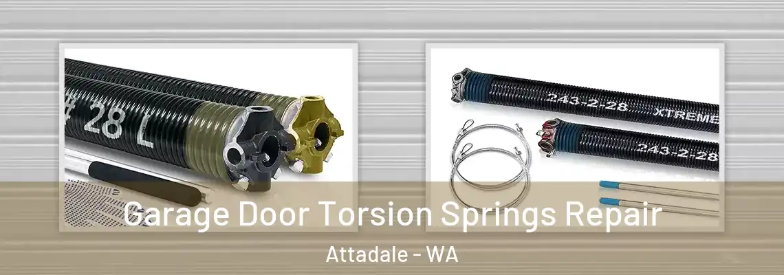 Garage Door Torsion Springs Repair Attadale - WA