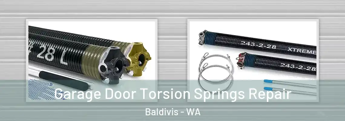 Garage Door Torsion Springs Repair Baldivis - WA