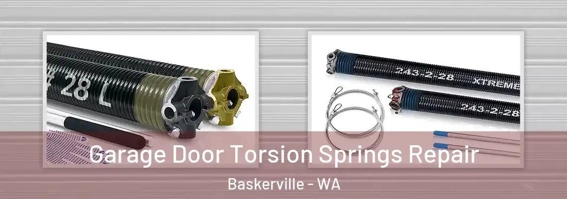 Garage Door Torsion Springs Repair Baskerville - WA