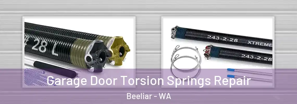 Garage Door Torsion Springs Repair Beeliar - WA