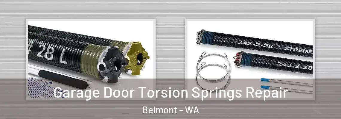  Garage Door Torsion Springs Repair Belmont - WA
