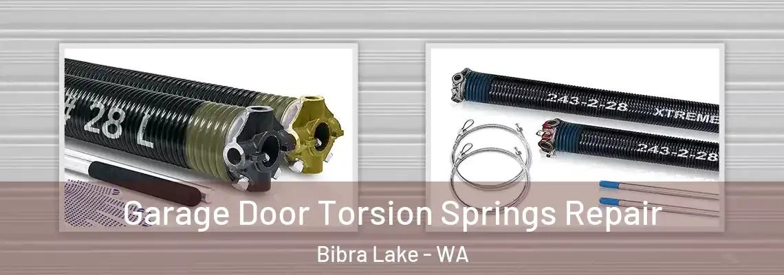 Garage Door Torsion Springs Repair Bibra Lake - WA