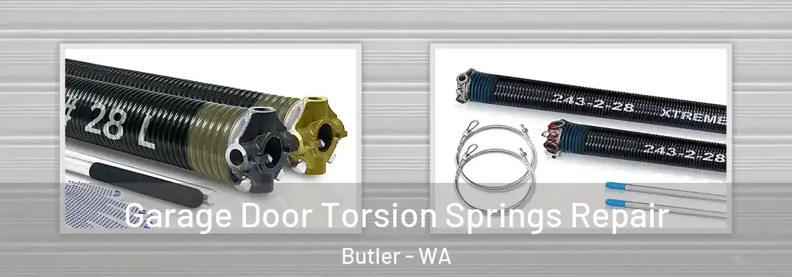 Garage Door Torsion Springs Repair Butler - WA
