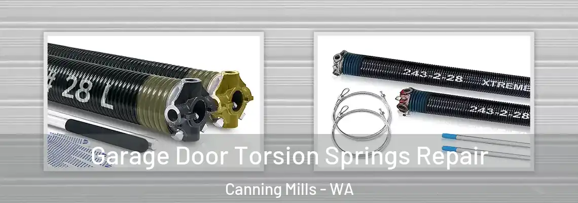  Garage Door Torsion Springs Repair Canning Mills - WA