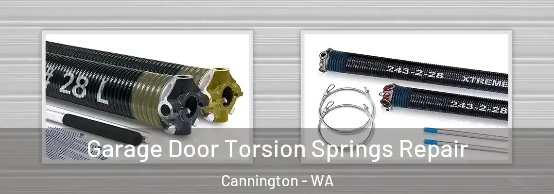 Garage Door Torsion Springs Repair Cannington - WA