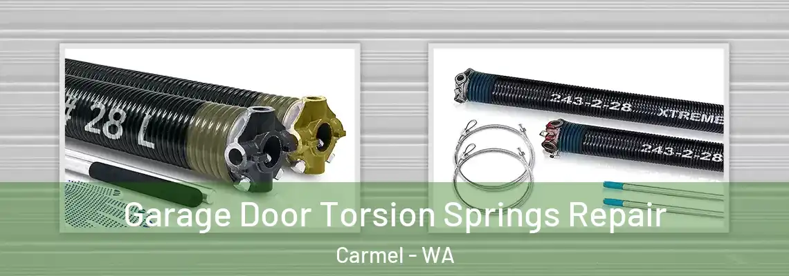 Garage Door Torsion Springs Repair Carmel - WA