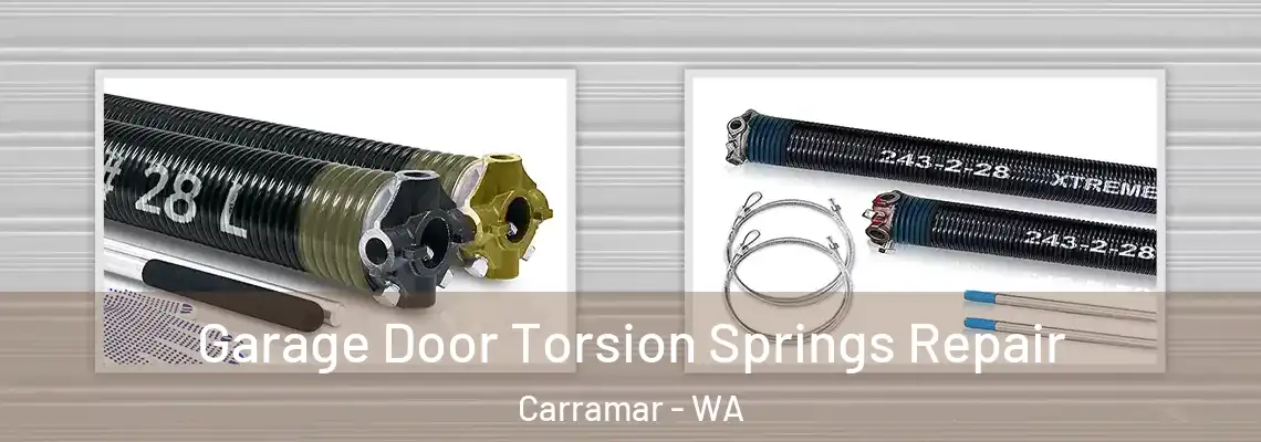 Garage Door Torsion Springs Repair Carramar - WA