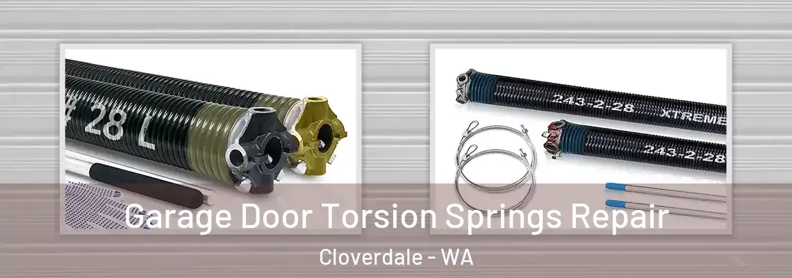 Garage Door Torsion Springs Repair Cloverdale - WA