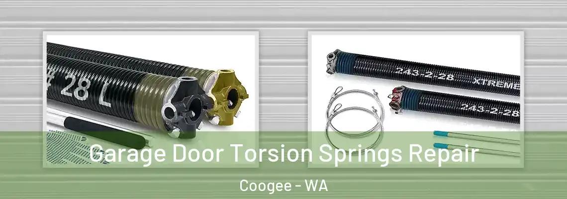 Garage Door Torsion Springs Repair Coogee - WA