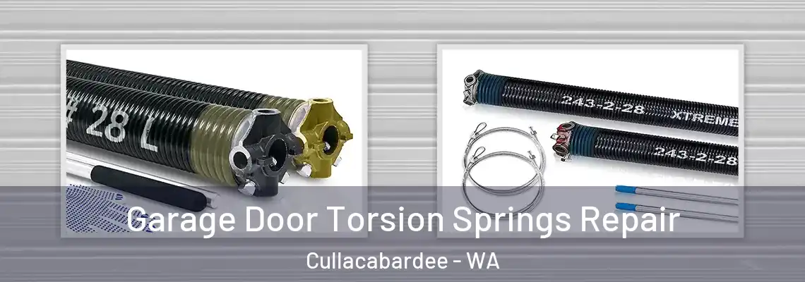  Garage Door Torsion Springs Repair Cullacabardee - WA