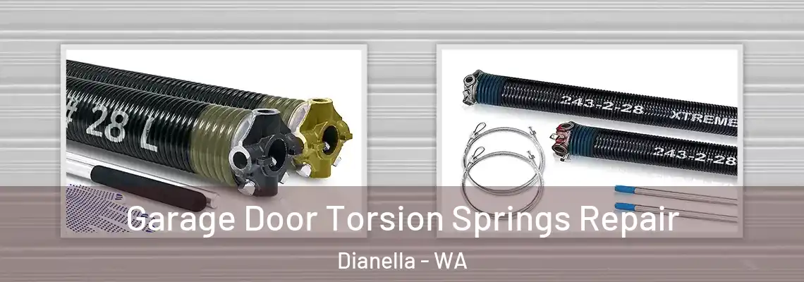 Garage Door Torsion Springs Repair Dianella - WA