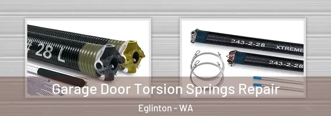 Garage Door Torsion Springs Repair Eglinton - WA