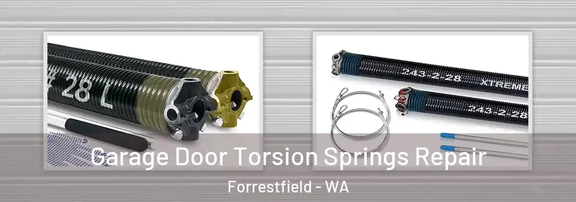 Garage Door Torsion Springs Repair Forrestfield - WA