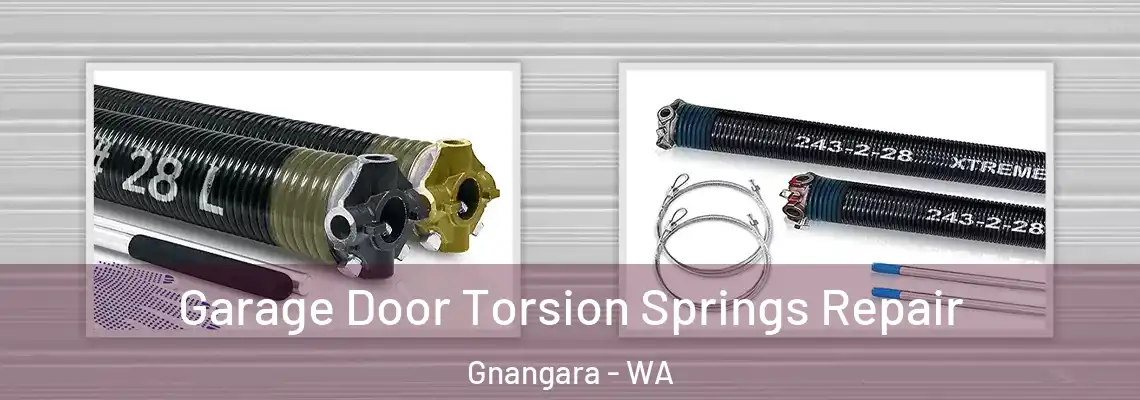  Garage Door Torsion Springs Repair Gnangara - WA
