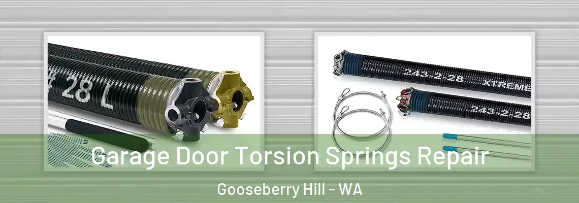 Garage Door Torsion Springs Repair Gooseberry Hill - WA