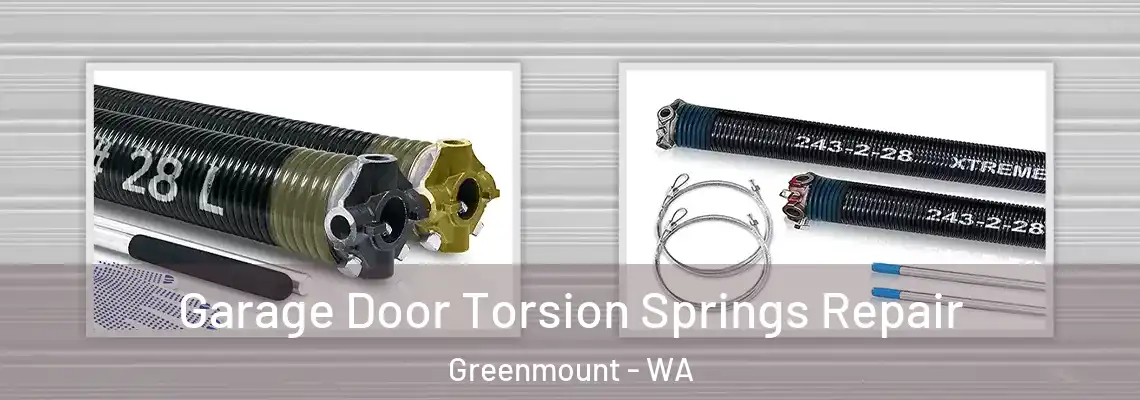 Garage Door Torsion Springs Repair Greenmount - WA