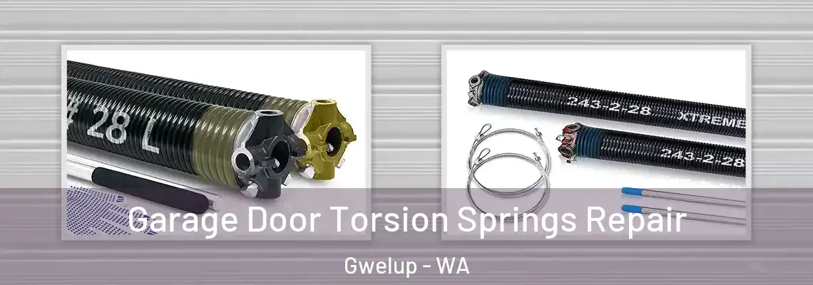 Garage Door Torsion Springs Repair Gwelup - WA