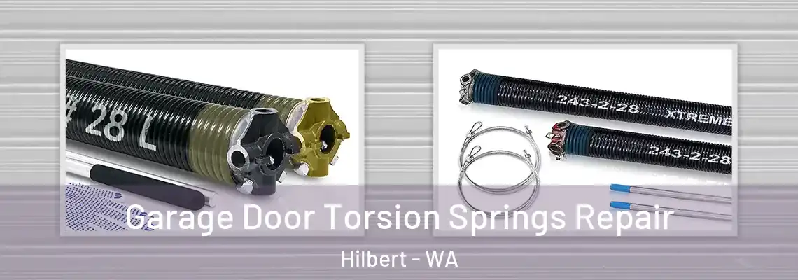 Garage Door Torsion Springs Repair Hilbert - WA