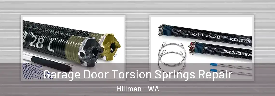 Garage Door Torsion Springs Repair Hillman - WA