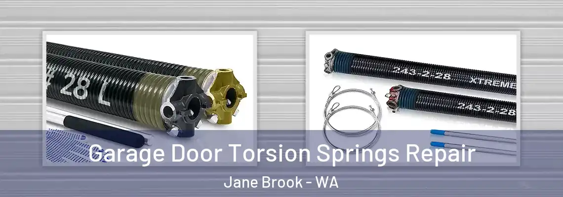 Garage Door Torsion Springs Repair Jane Brook - WA