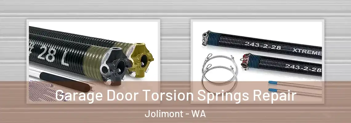 Garage Door Torsion Springs Repair Jolimont - WA
