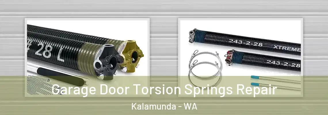  Garage Door Torsion Springs Repair Kalamunda - WA
