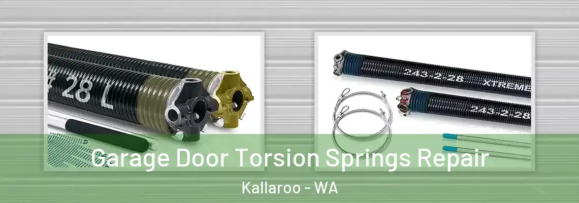 Garage Door Torsion Springs Repair Kallaroo - WA