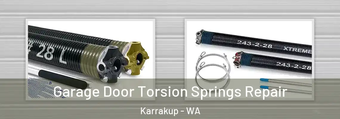 Garage Door Torsion Springs Repair Karrakup - WA