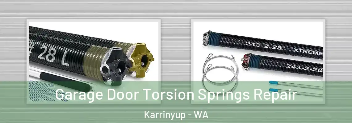  Garage Door Torsion Springs Repair Karrinyup - WA